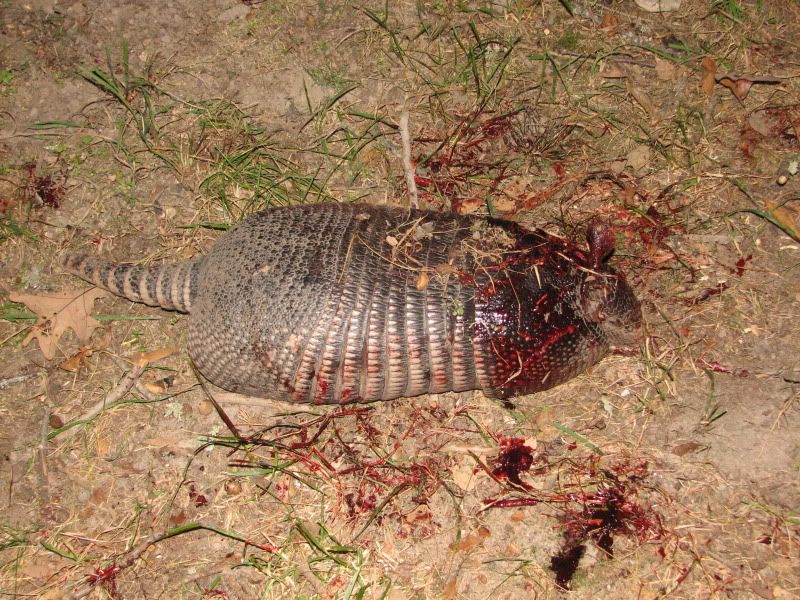 Lets See Your Kill Shots Warning Graphic Photos Of Dead Critters
